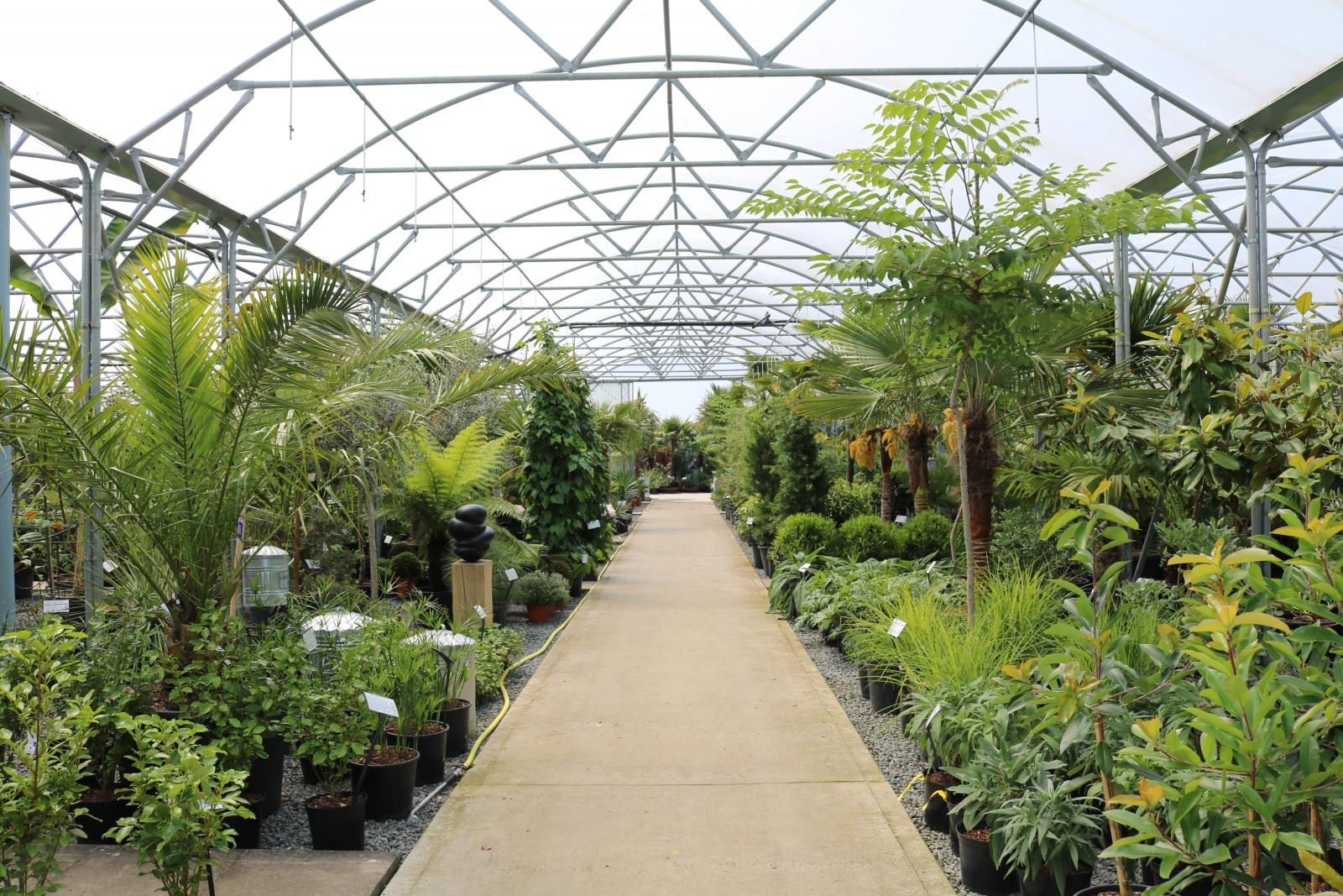 Trade Customers | Architectural Plants