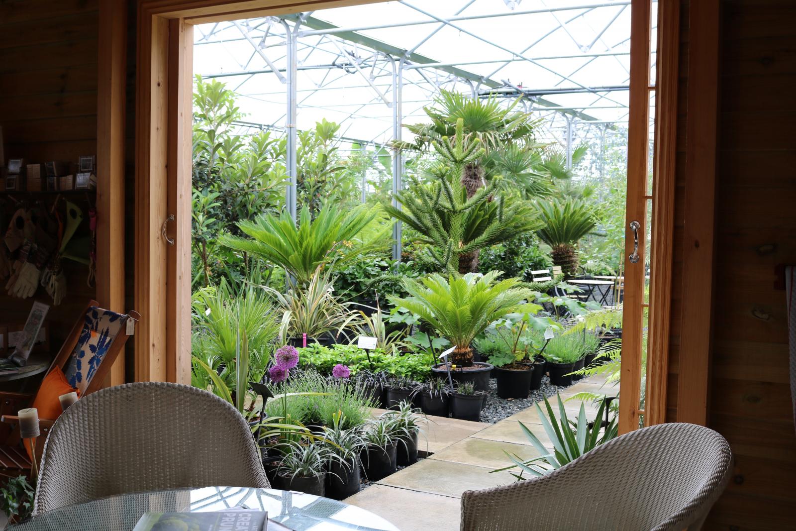 Trade Customers Architectural Plants