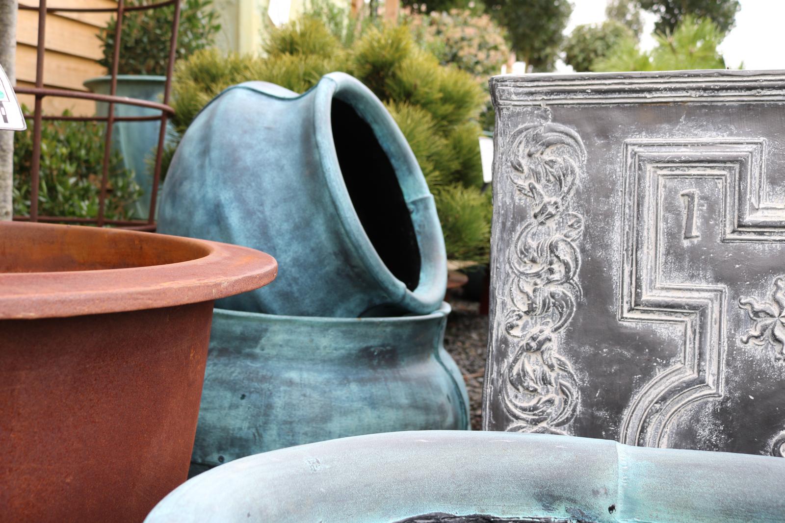 Buy Plant Pots UK Delivery Architectural Plants