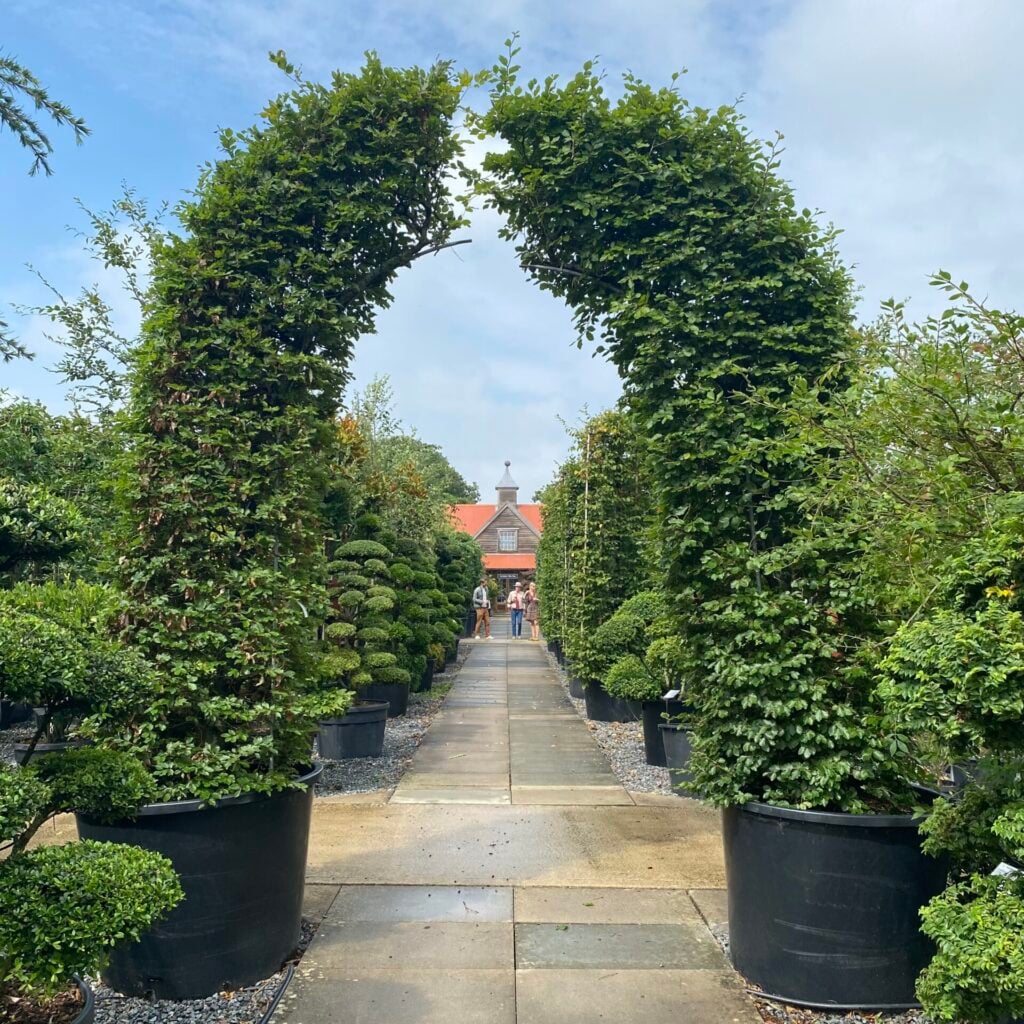 Topiary Inspiration Mood Board