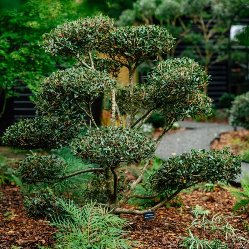 Topiary Inspiration Mood Board