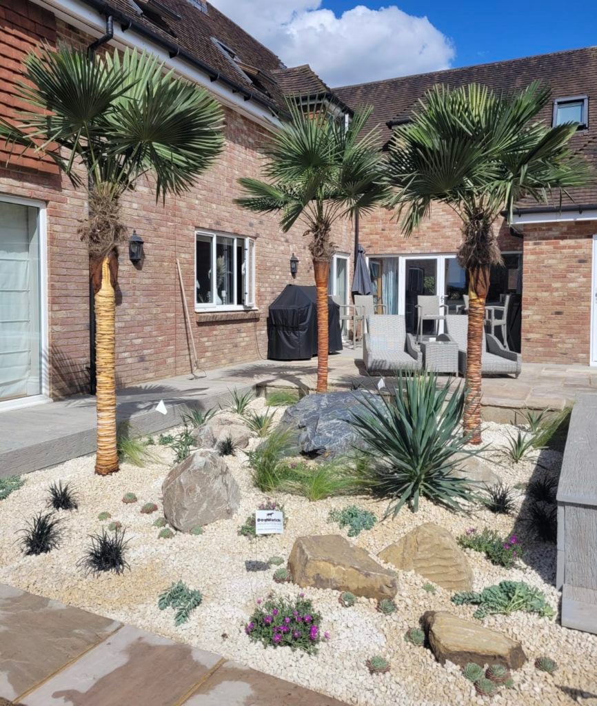 A tropical courtyard