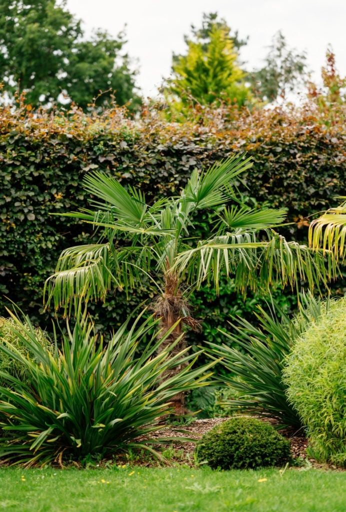 Tropical & Exotic Inspiration Mood Board