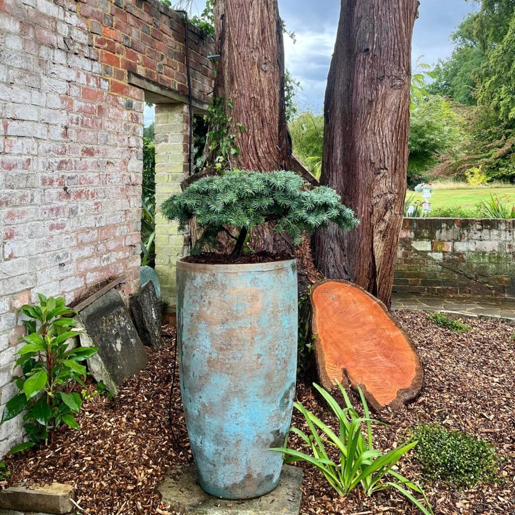 Pots Inspiration Mood Board
