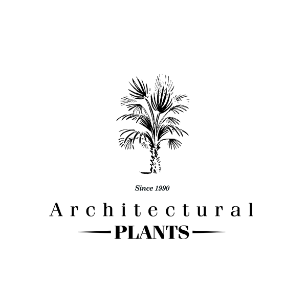 Opening Hours and How to Find Us Architectural Plants