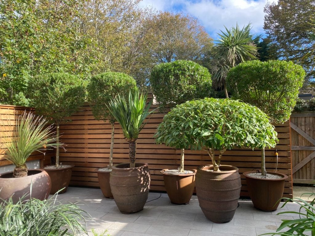 Pots Inspiration Mood Board