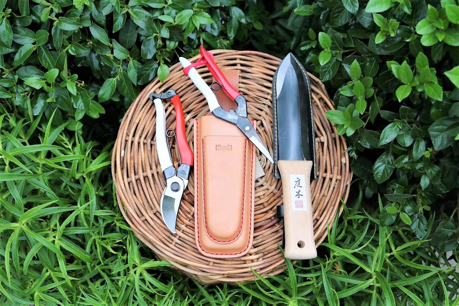 Japanese Garden Tools Niwaki Tools Architectural Plants