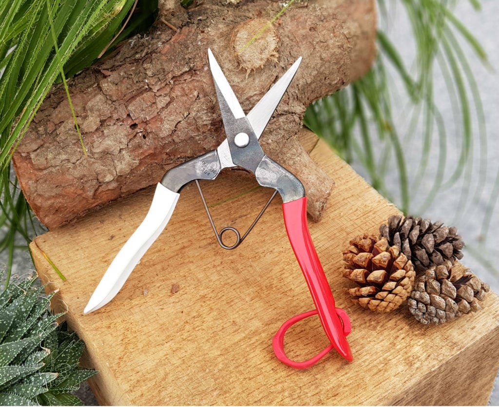 Japanese Garden Tools Niwaki Tools Architectural Plants