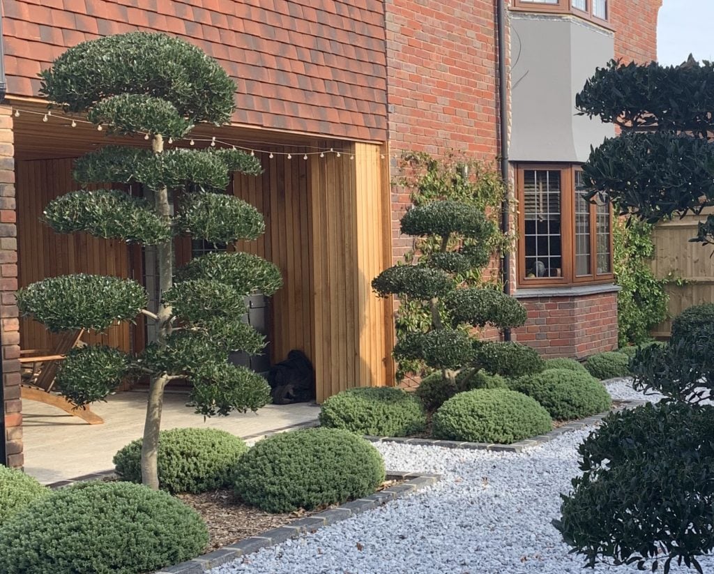 Niwaki and Bonsai Inspiration Mood Board