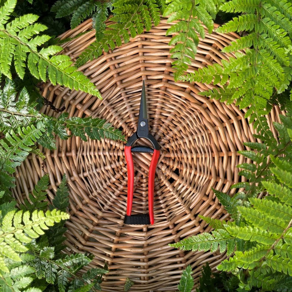 Niwaki Forged Snips