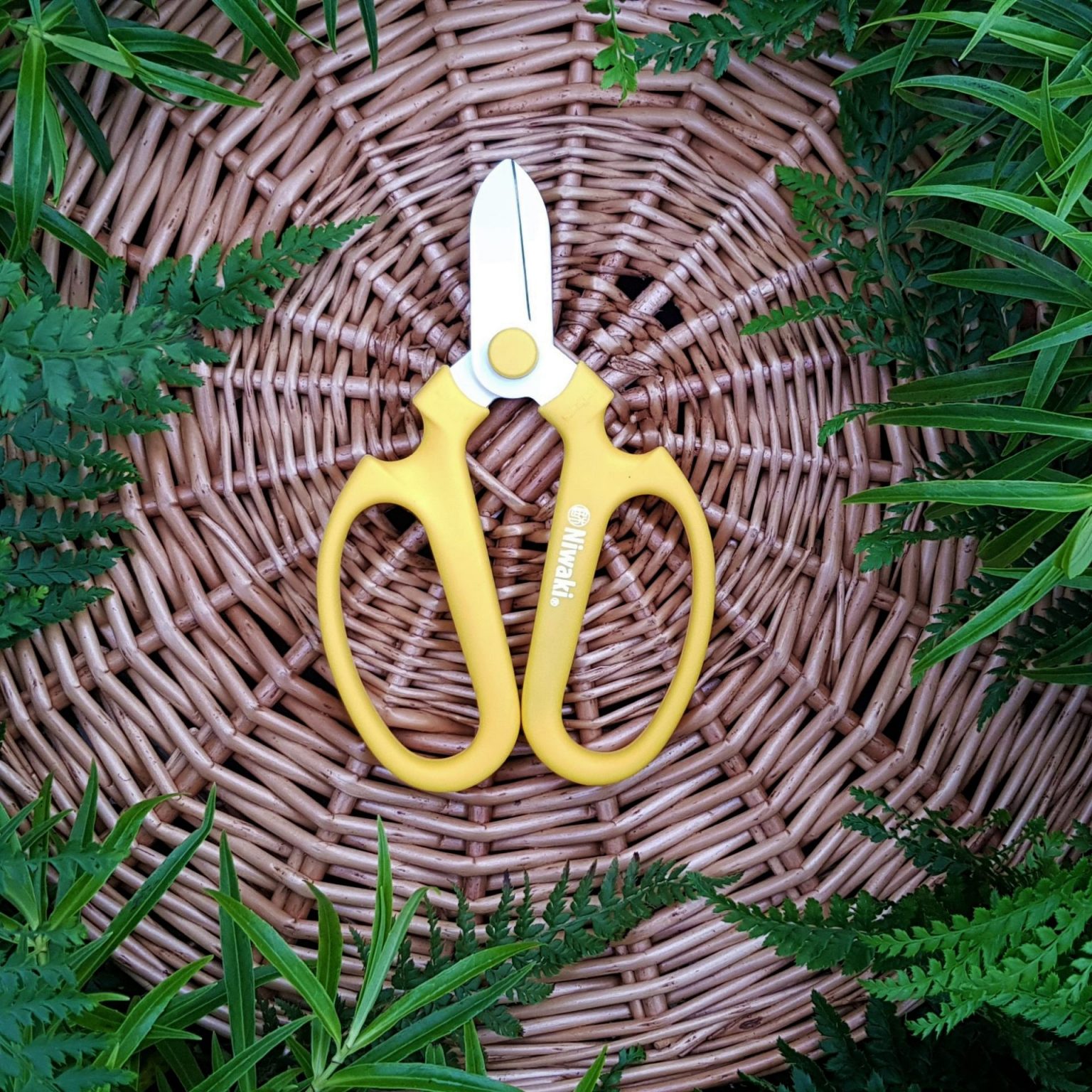 Irrigation 4mm Drip Tubing - Architectural Plants