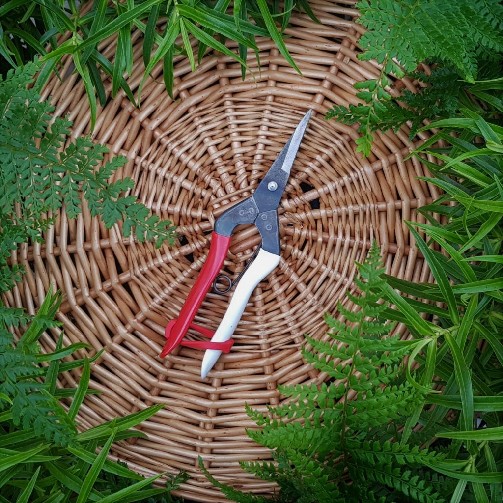Niwaki Okatsune Snips