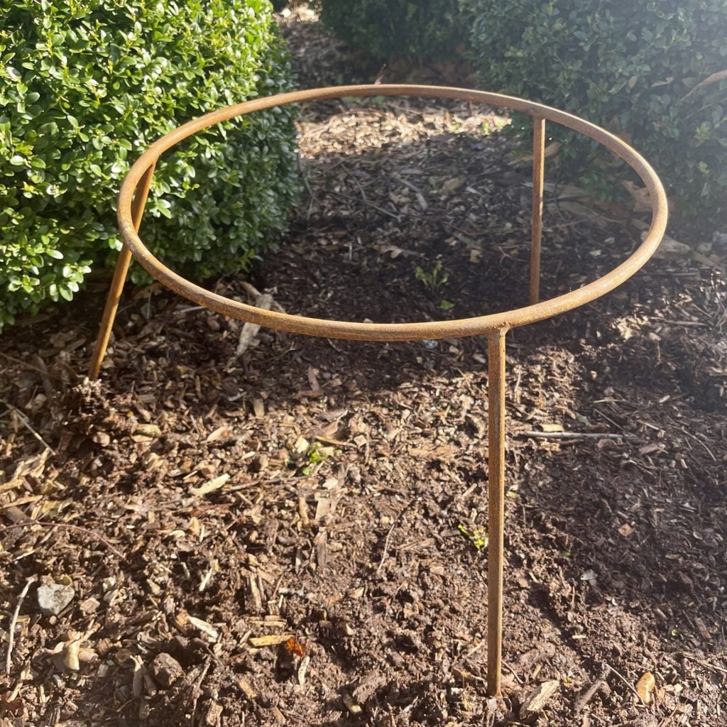 Iron Stand TPC - Image 2
