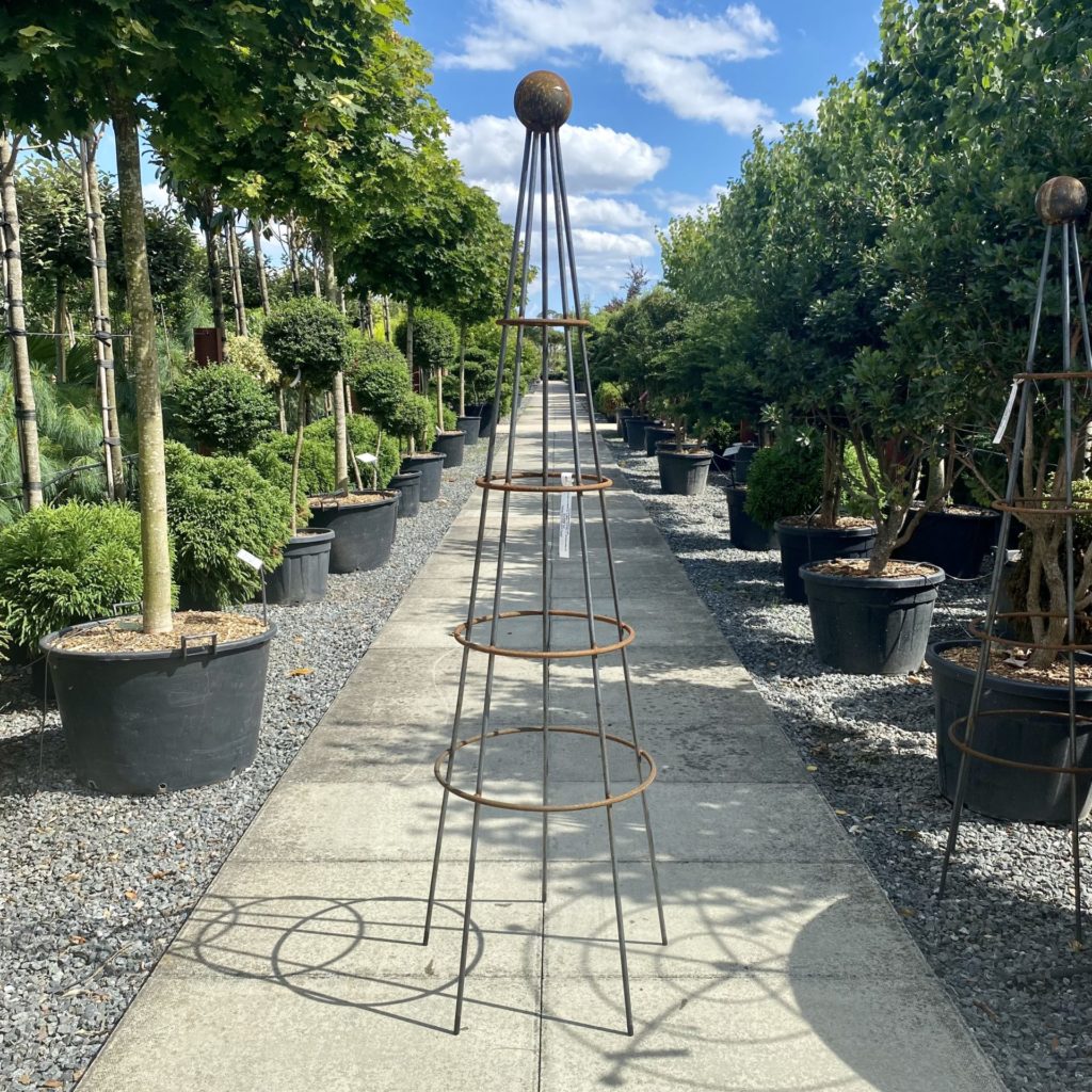 Plant Support - Cotswold Obelisk