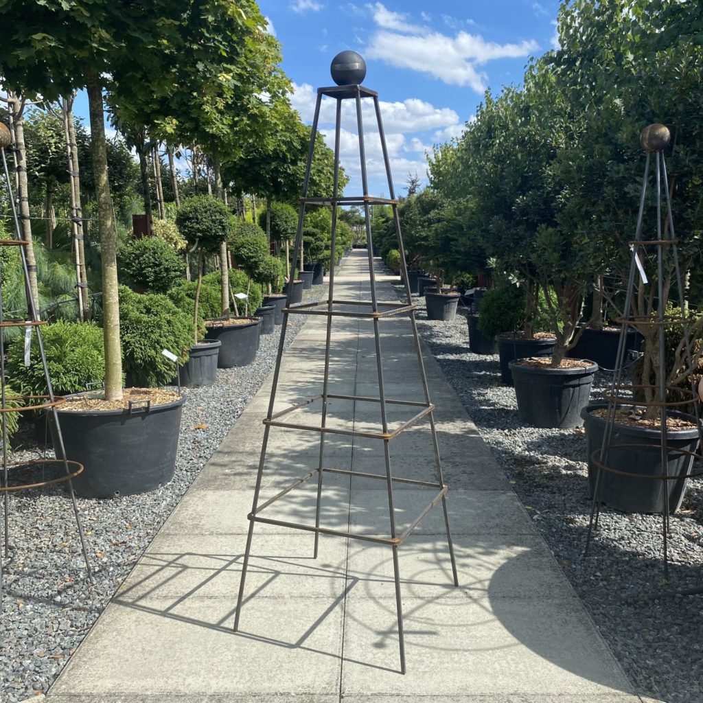 Plant Support - Abinger Obelisk