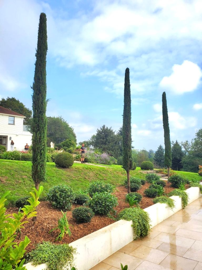 Topiary Inspiration Mood Board