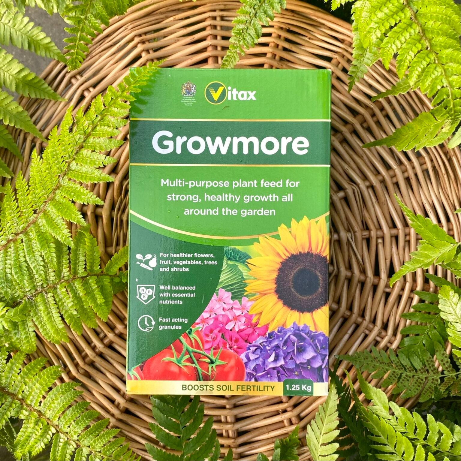 Buy Growmore Plant Feed - Architectural Plants