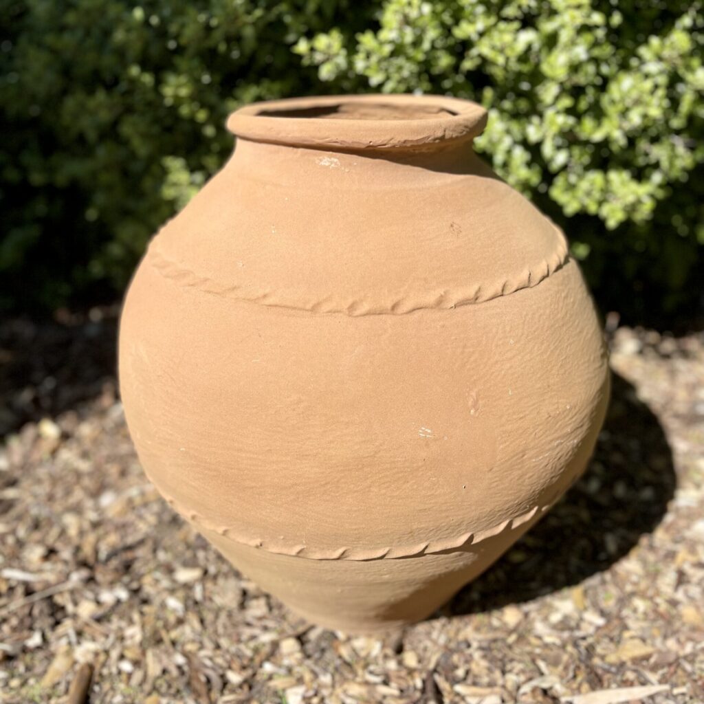 Mediterranean Pots - Architectural Plants