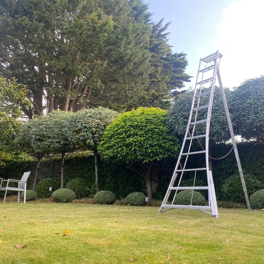 Topiary Inspiration Mood Board
