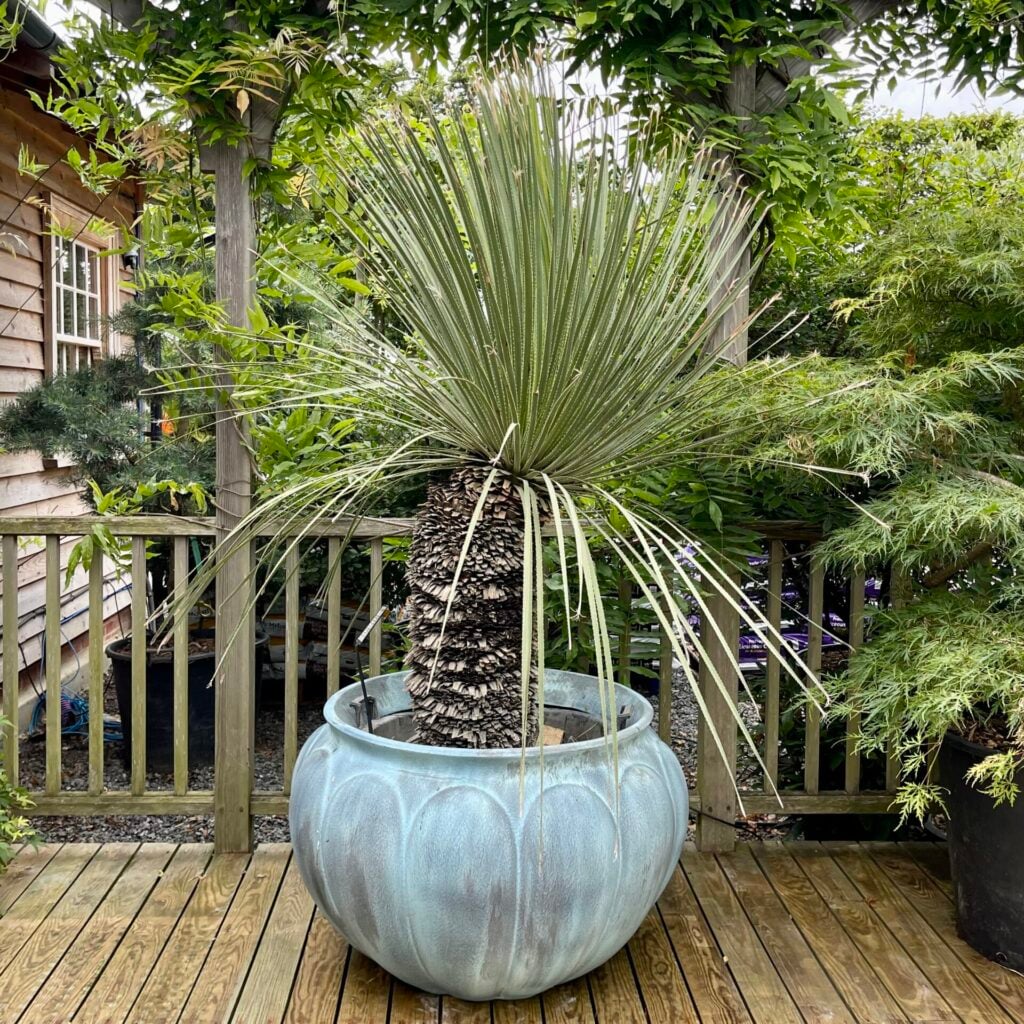 Pots Inspiration Mood Board