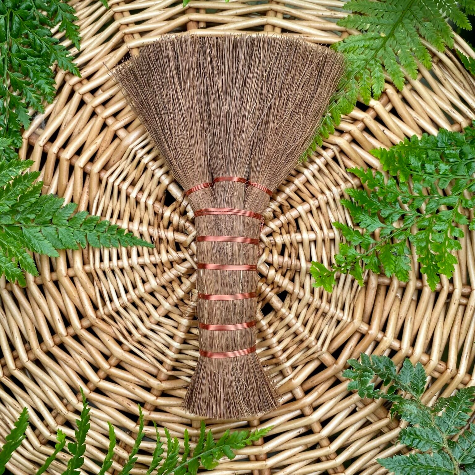 Buy Niwaki Shuro Hand Broom Architectural Plants
