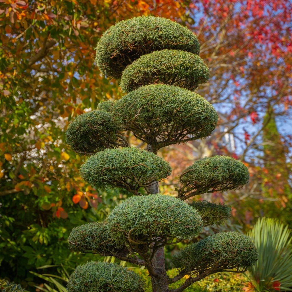Topiary Inspiration Mood Board