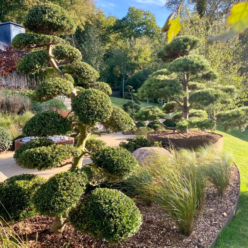 Topiary Inspiration Mood Board
