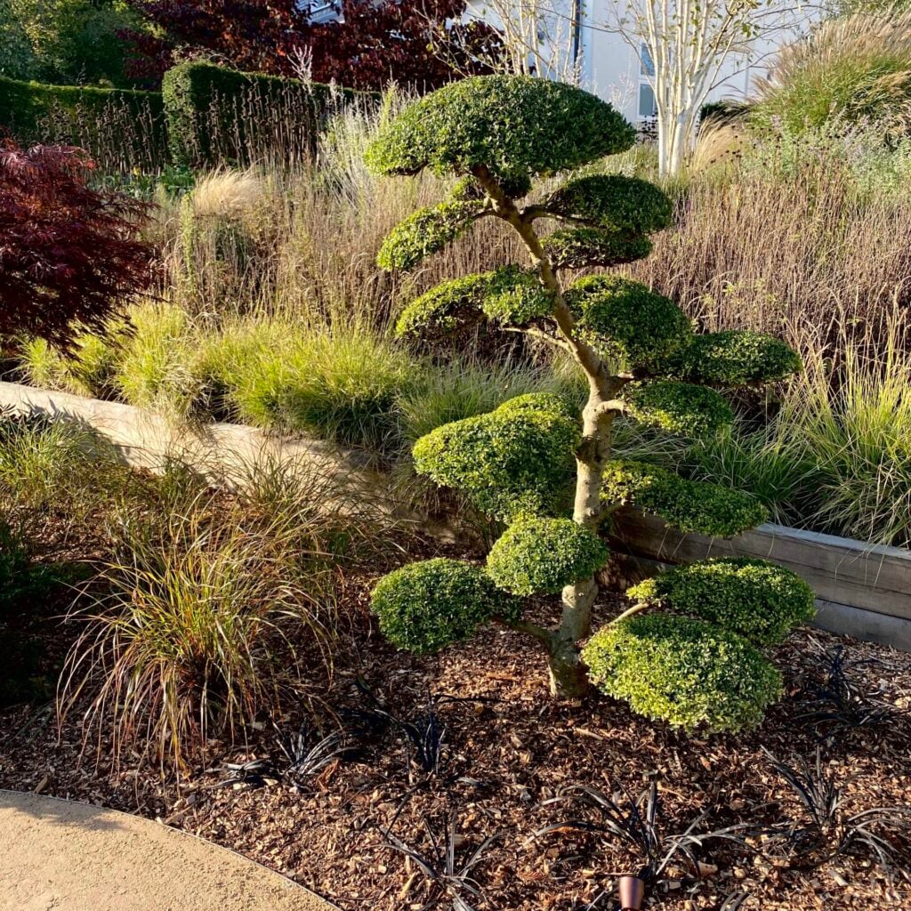 Topiary Inspiration Mood Board