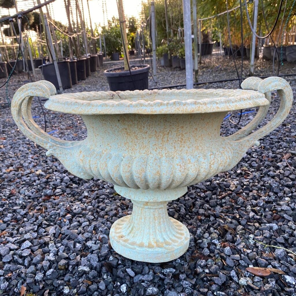 French Tazza Urn - Image 2