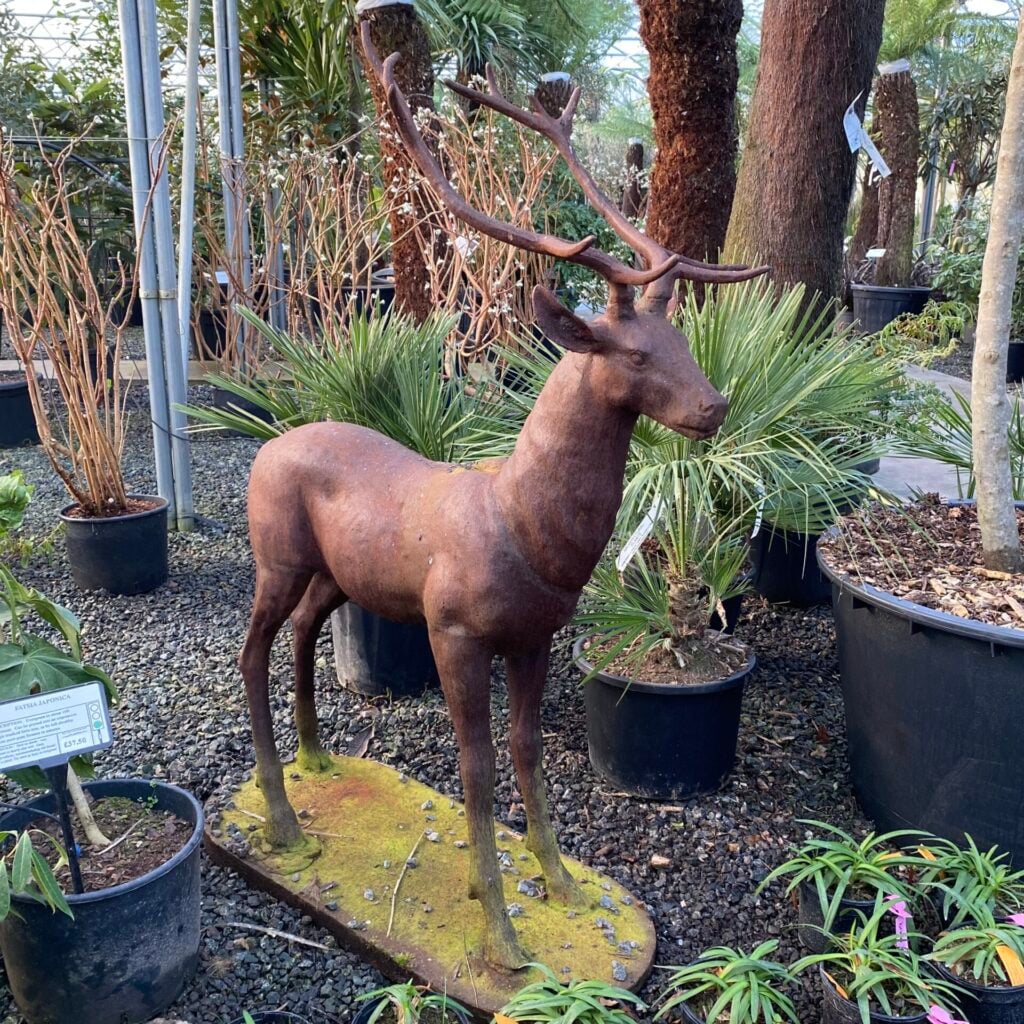 Cast Iron Majestic Stag TPC - Image 2