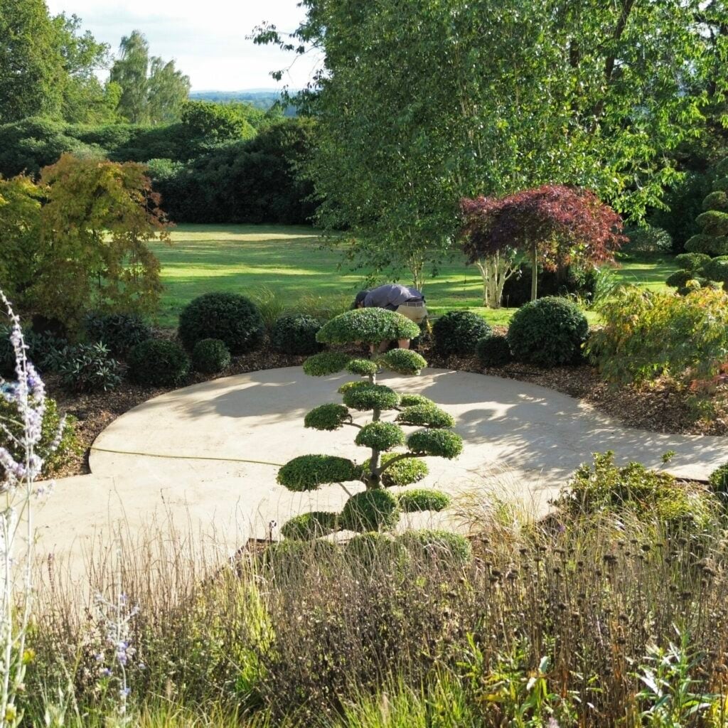 Topiary Inspiration Mood Board