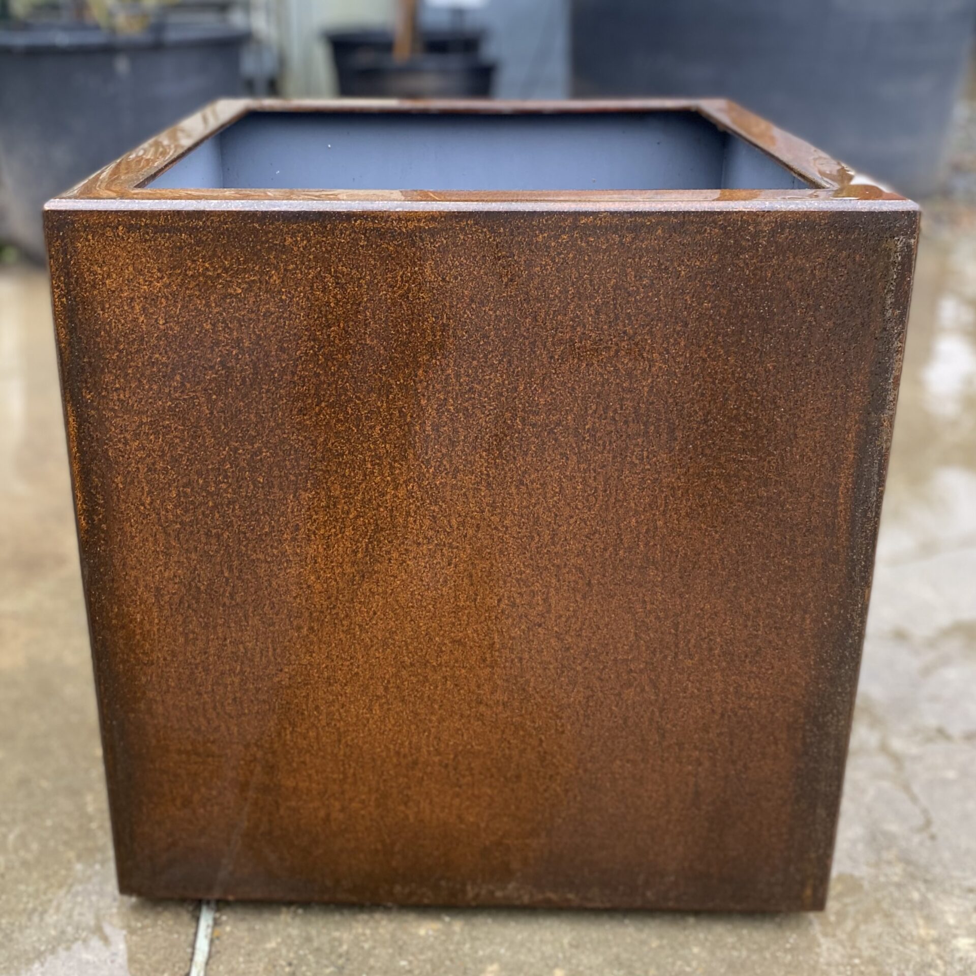 Buy Garden Plant Pots Online Architectural Plants