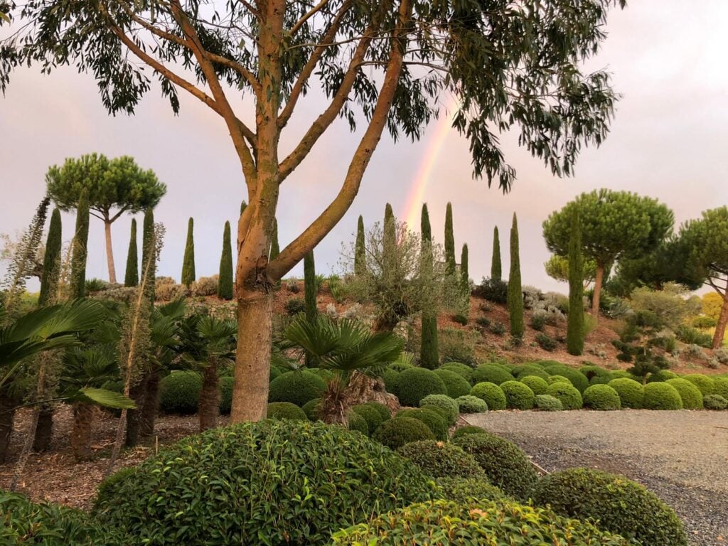 Topiary Inspiration Mood Board