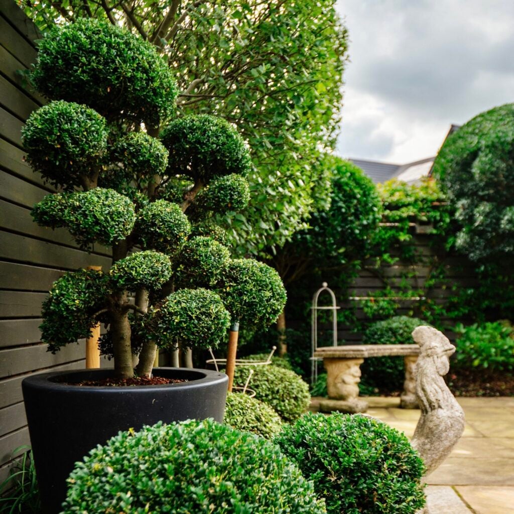 Small Garden Design