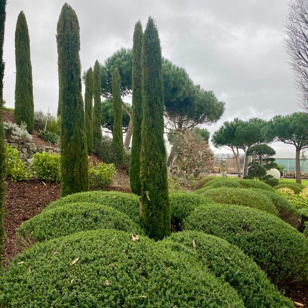 Topiary Inspiration Mood Board