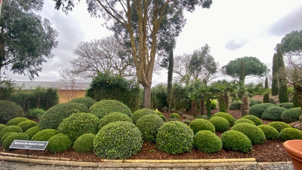 Topiary Inspiration Mood Board