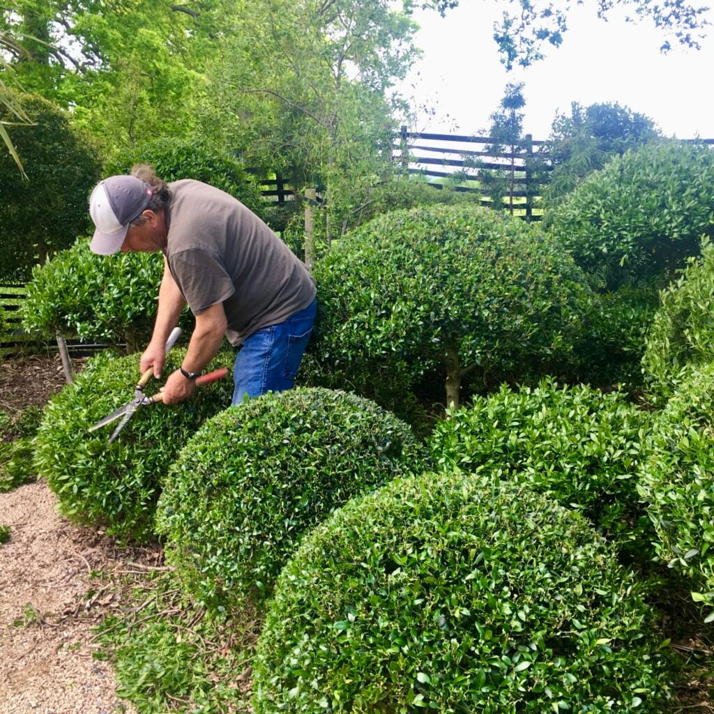 Topiary Inspiration Mood Board