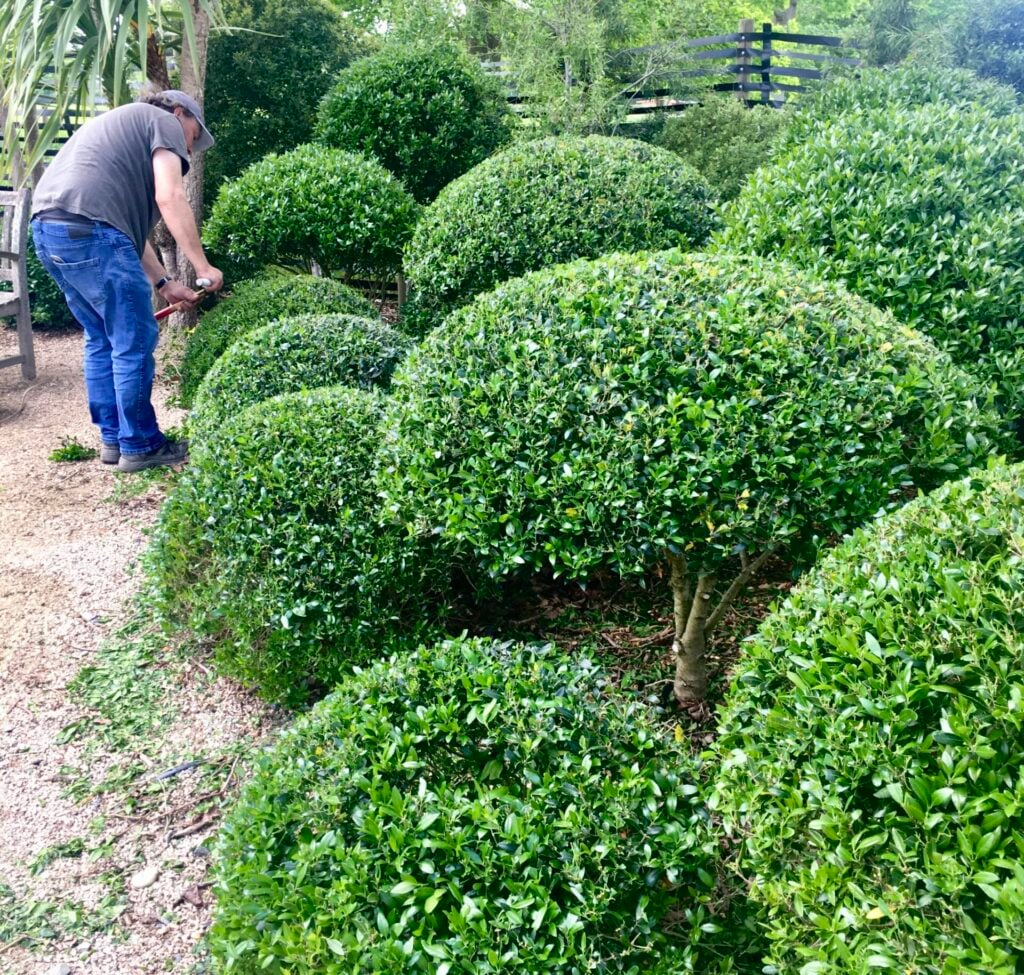 Topiary Inspiration Mood Board