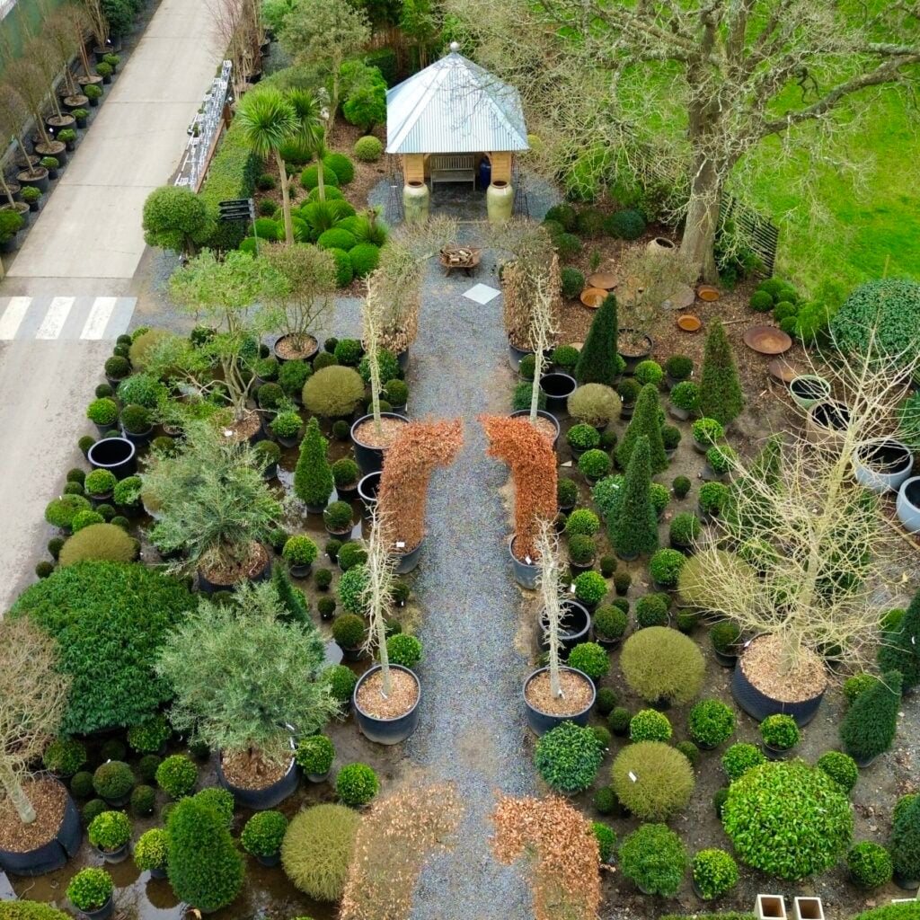 Topiary Inspiration Mood Board