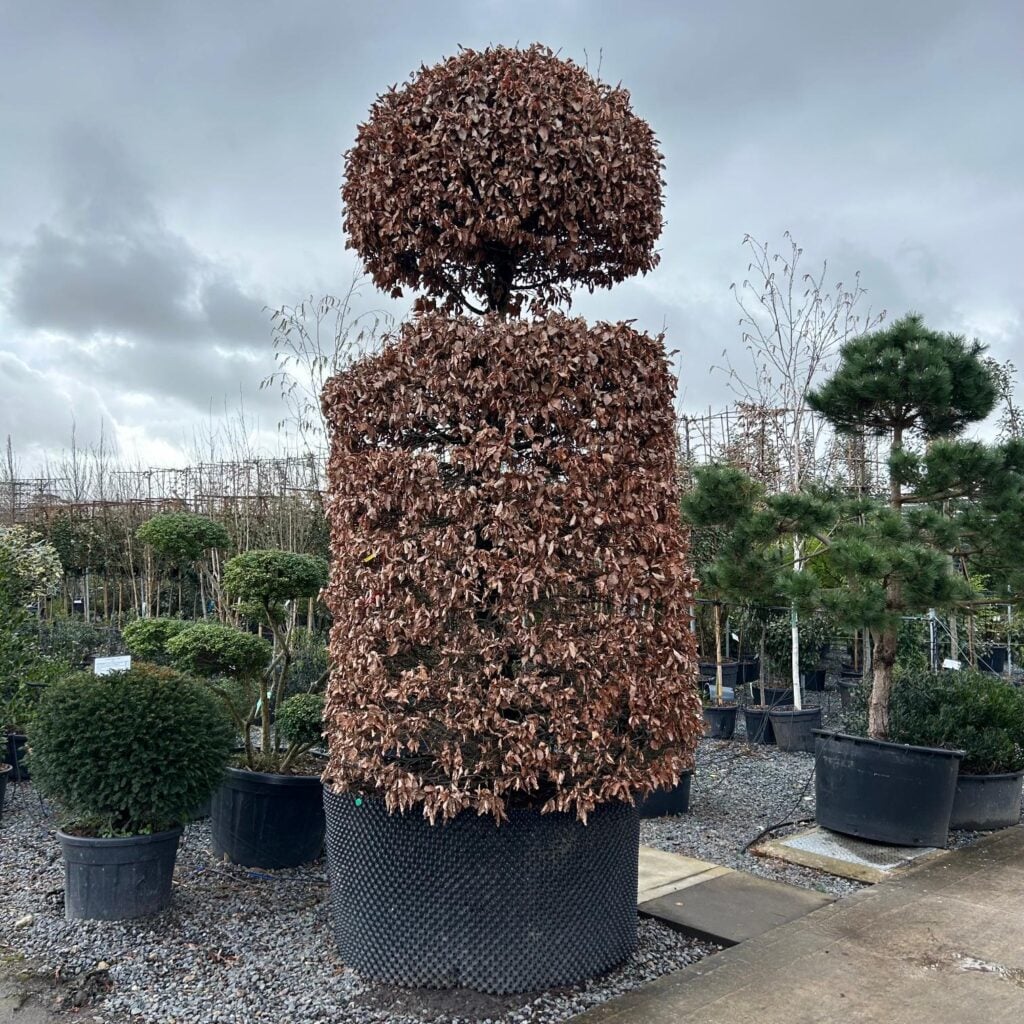 Topiary Inspiration Mood Board