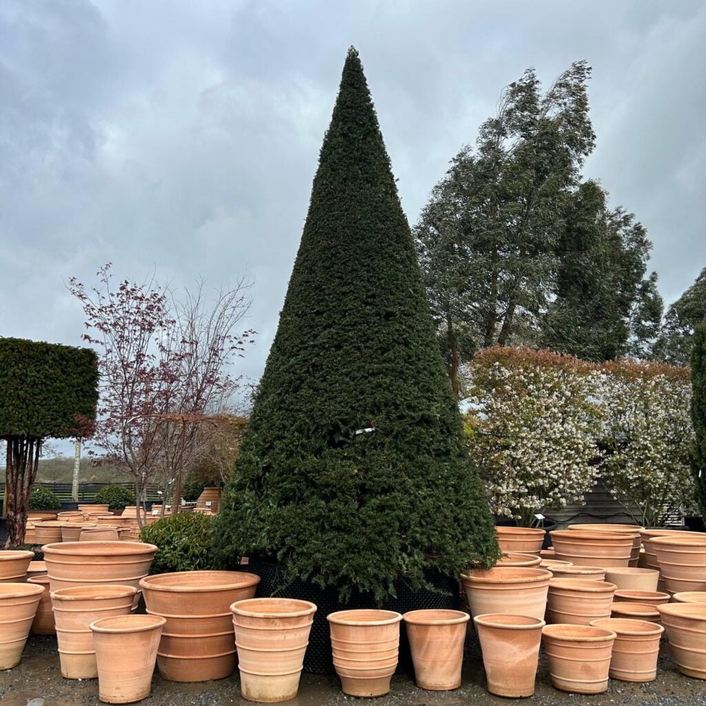 Topiary Inspiration Mood Board