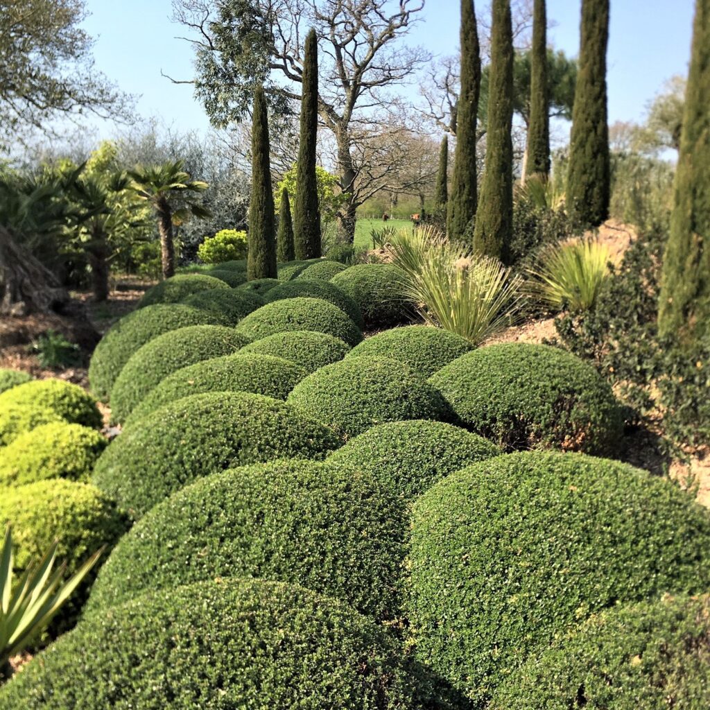 Topiary Inspiration Mood Board
