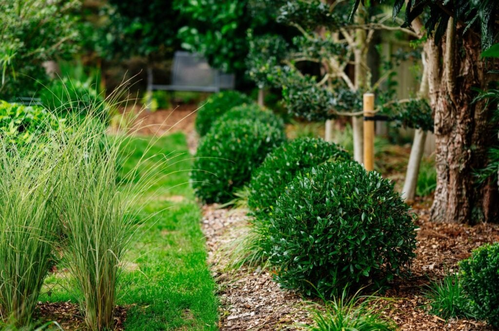 Topiary Inspiration Mood Board