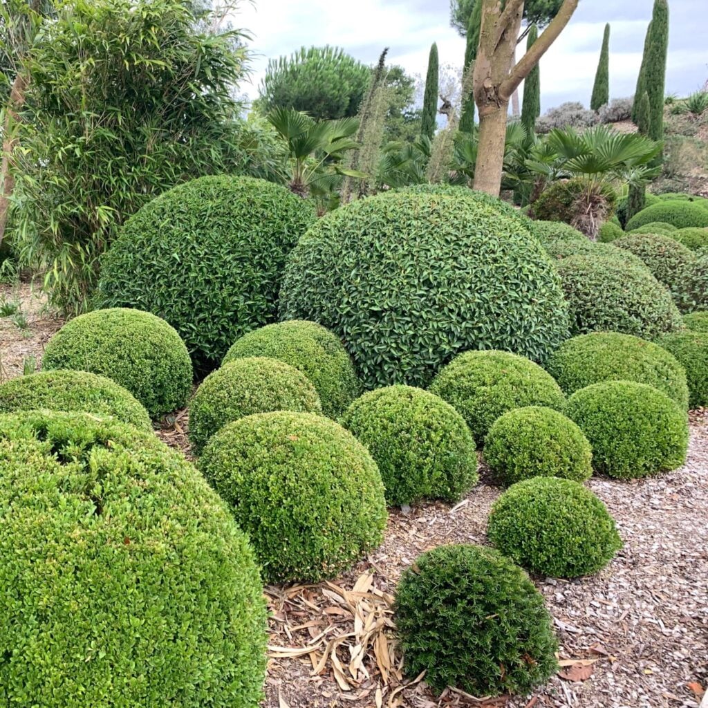Topiary Inspiration Mood Board