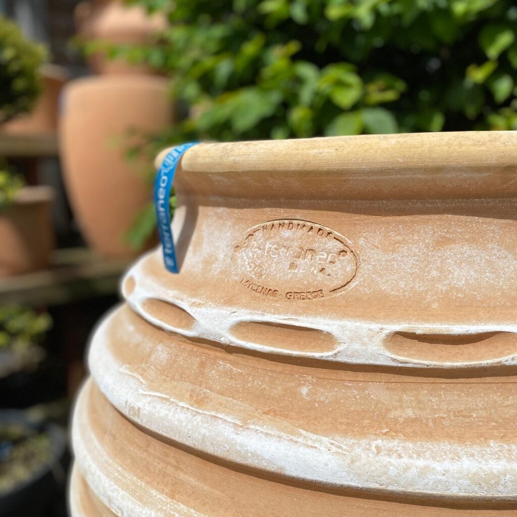 Terraneo Koronios Terracotta Pot - Image 2
