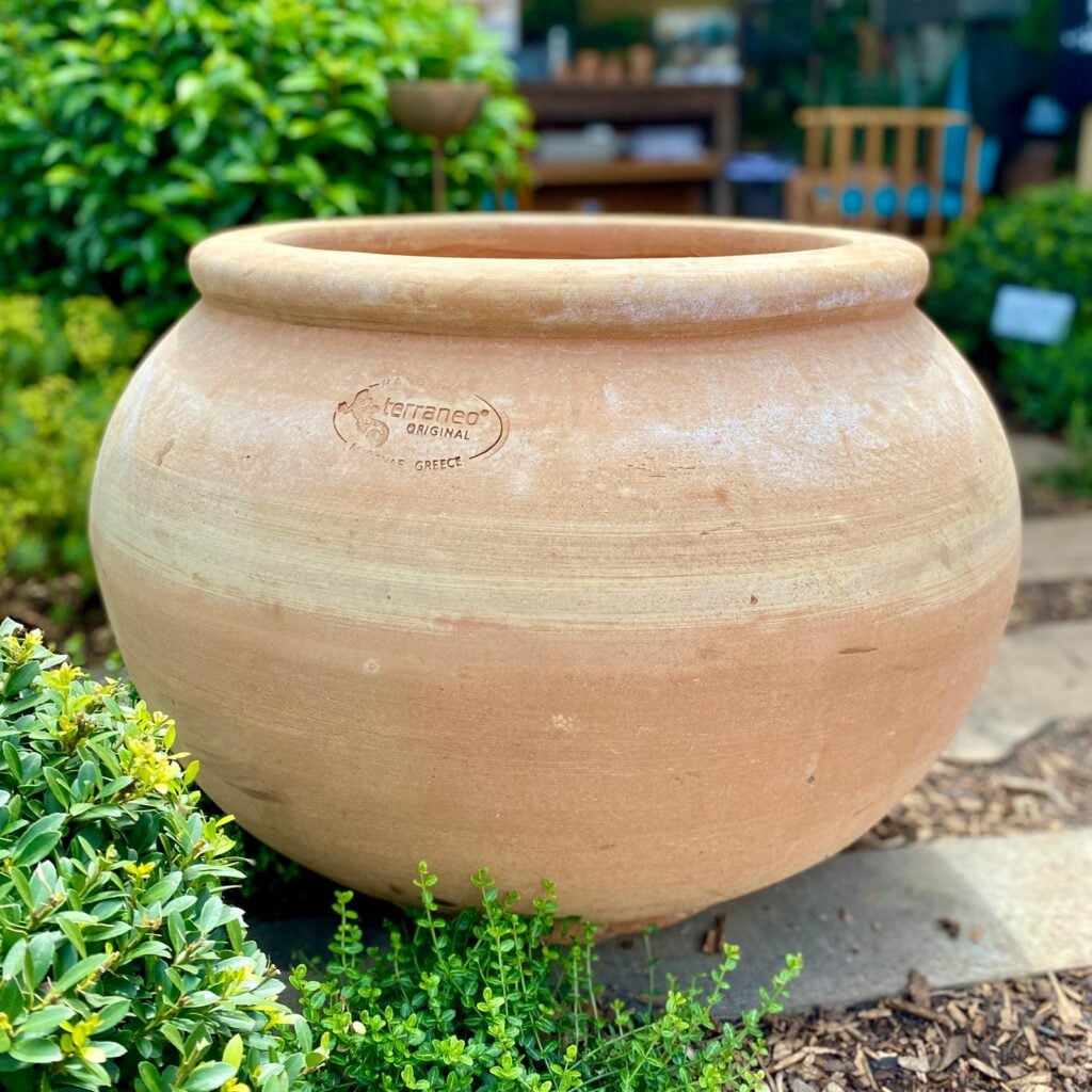 Terraneo Eleni Terracotta Pot - Image 2