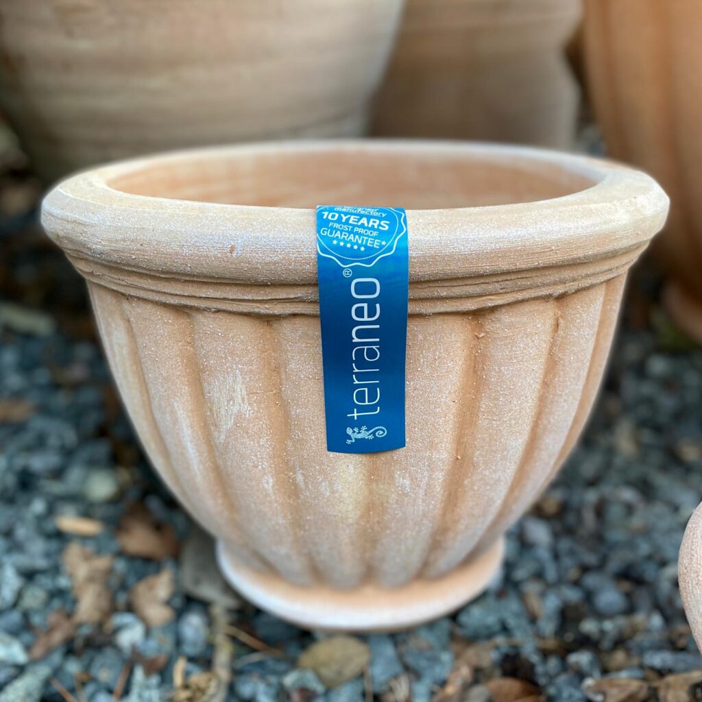 Terraneo Bresso Terracotta Pot - Image 7