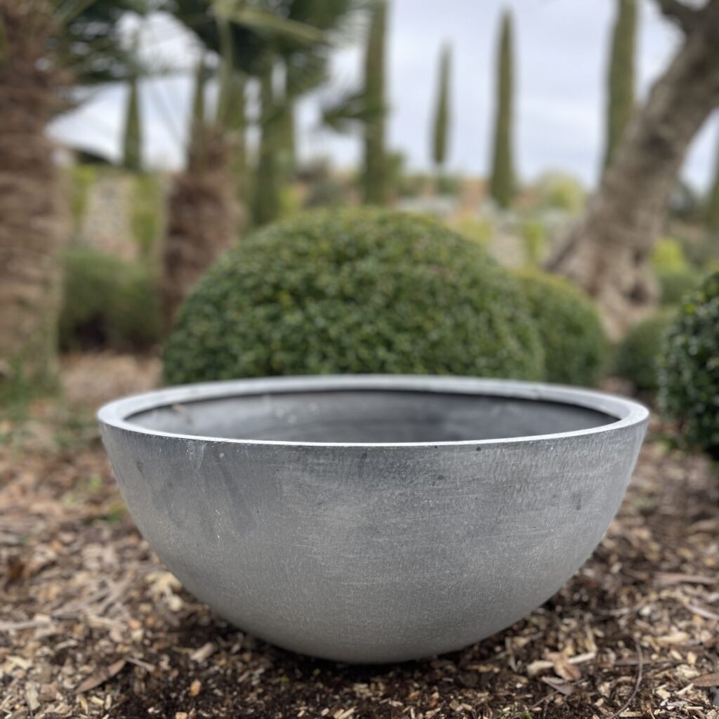 Bowl Planter - Image 2