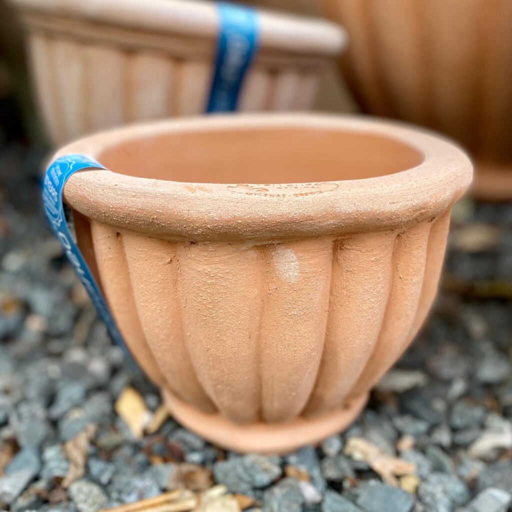 Terraneo Bresso Terracotta Pot - Image 6