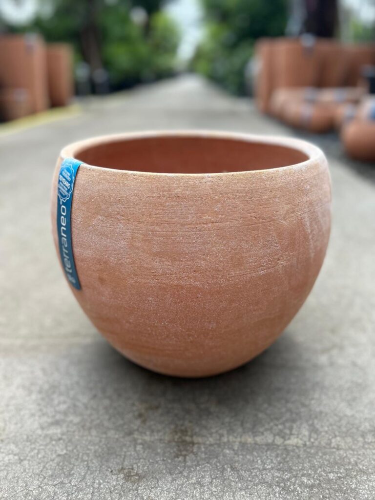 Terraneo Dego Terracotta Pot - Image 3